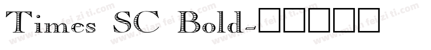 Times SC Bold字体转换